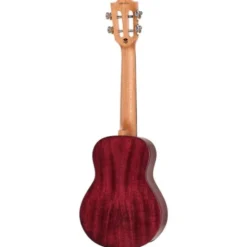 Flight Iris Tinta Concert TPP