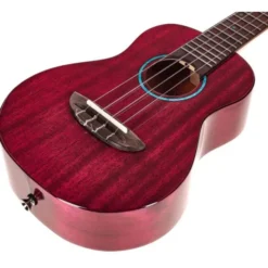 Flight Iris Tinta Concert TPP