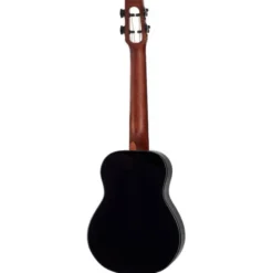 Flight Nighthawk Concert EQ-A