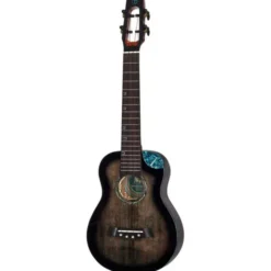 Flight Nighthawk Concert EQ-A