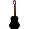 Flight Nighthawk Tenor EQ-A