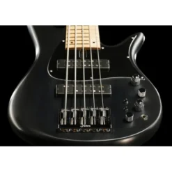 Fodera Monarch Standard 5 Classic BLK
