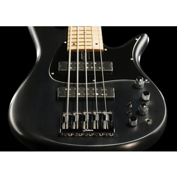Fodera Monarch Standard 5 Classic BLK