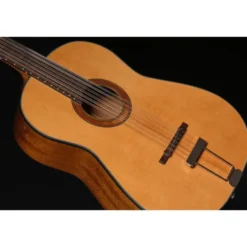 Framus Vintage Hootenanny 12 TS