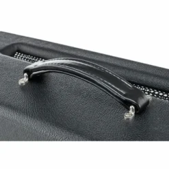 Friedman BE-100 Deluxe Head