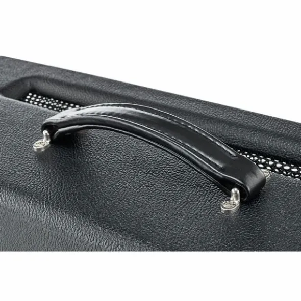 Friedman BE-100 Deluxe Head
