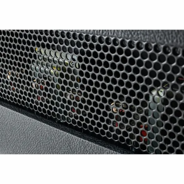 Friedman BE-100 Deluxe Head