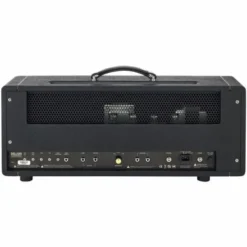 Friedman BE-100 Deluxe Head