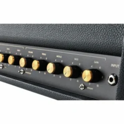 Friedman BE-100 Deluxe Head