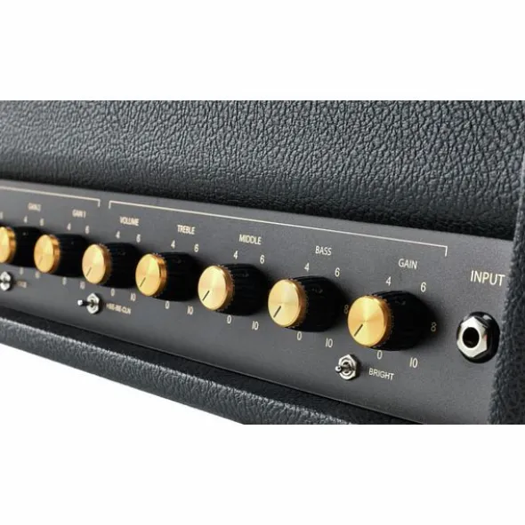 Friedman BE-100 Deluxe Head