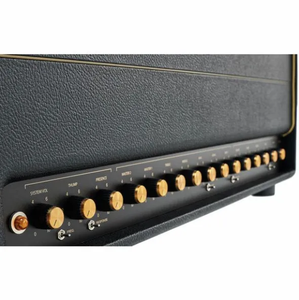 Friedman BE-100 Deluxe Head