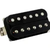 Friedman Triple D Humbucker Br Black