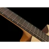 Furch Blue Dc-SW 12 a EAS-VTC w/GB