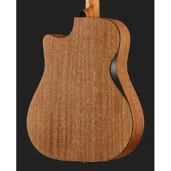 Furch Blue Deluxe Dc-CM a w/GB