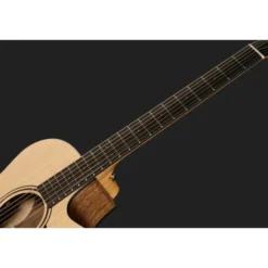 Furch Blue Deluxe Gc-SW a VTC w/GB