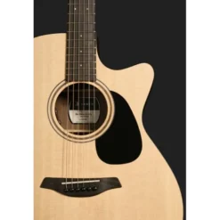 Furch Blue Deluxe Gc-SW a VTC w/GB