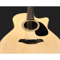 Furch Blue Deluxe Gc-SW a VTC w/GB