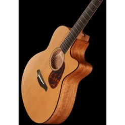 Furch Blue Gc-CM a w/GB