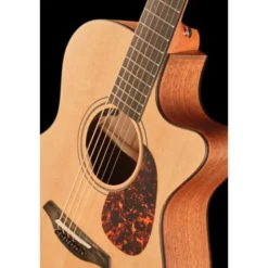 Furch Blue OMc-SW a SPE w/GB