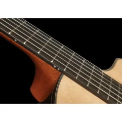 Furch GNc4-SR w/VTC a Nylon