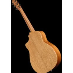 Furch Pioneer-EM a