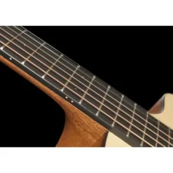 Furch Pioneer-EM a