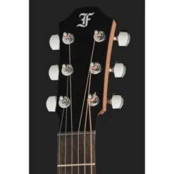 Furch Pioneer-EM a LH