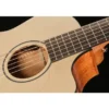 Furch Pioneer-EM VTC a