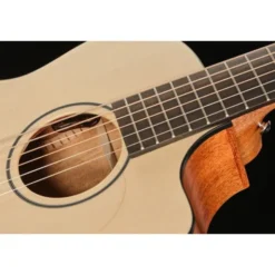 Furch Pioneer-EM VTC a