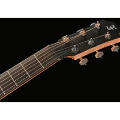 Furch Pioneer-EM VTC a