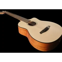 Furch Pioneer-EM VTC a