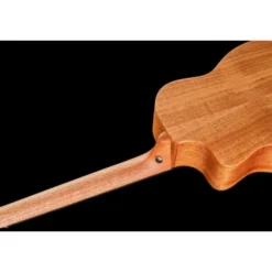 Furch Pioneer-EM VTC a