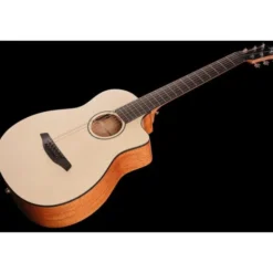 Furch Pioneer-EM VTC a