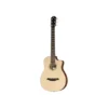 Furch Pioneer-ER B-Stock