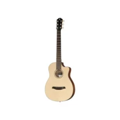 Furch Pioneer-ER B-Stock