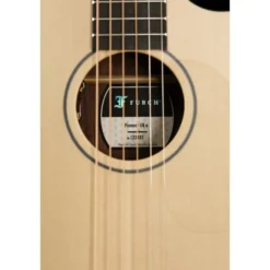 Furch Pioneer-ER VTC a