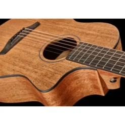 Furch Pioneer-MM a