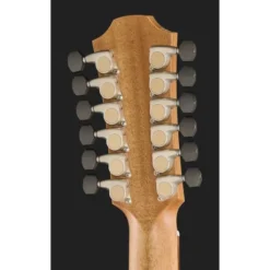 Furch Red Pure Gc-SR 12 String a