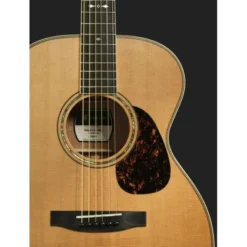 Furch Vintage 2 OM-SM a w/ case