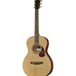 Furch Vintage 3 OOMs-AV a