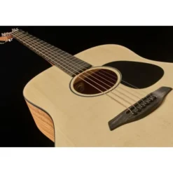 Furch Violet D-EM a w/GB