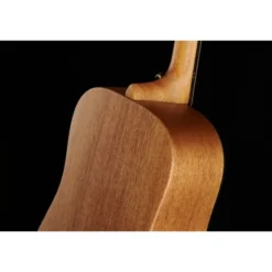 Furch Violet D-EM VTC a w/GB