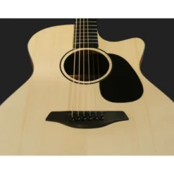 Furch Violet Gc-ER a w/GB