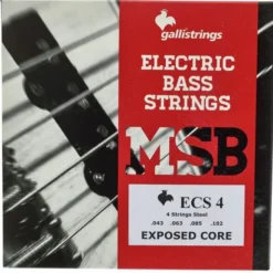 Galli Strings ECS4 Exposed Core Bass Str.