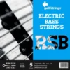 Galli Strings RSB45125 Long Scale 5-String