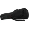 Gator G-PG E/A Double Bag