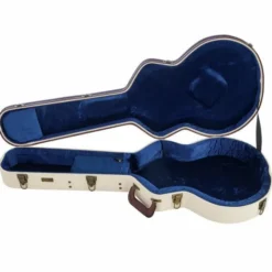 Gator Journeyman Semi-Hollow