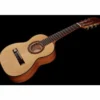 Gewa Pro Arte GC-25 A