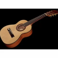 Gewa Pro Arte GC-25 A