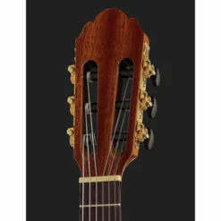 Gewa Pro Arte GC-25 A